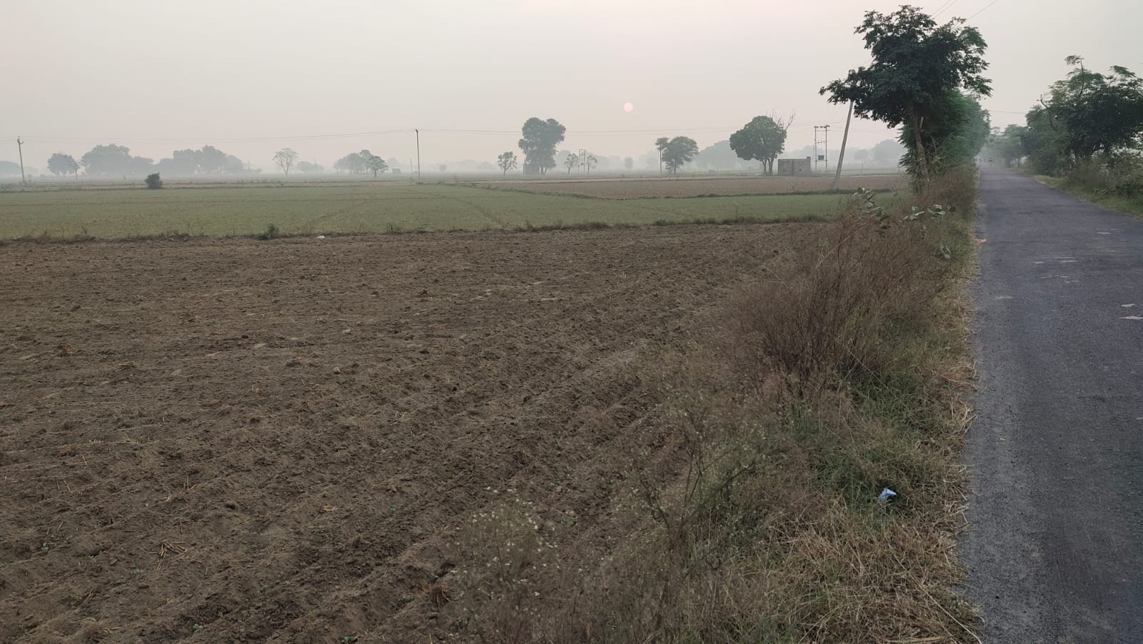 One Acre Farm Land With CLU For Farmhouse Nearby Pataudi Dharuhera Gurgaon