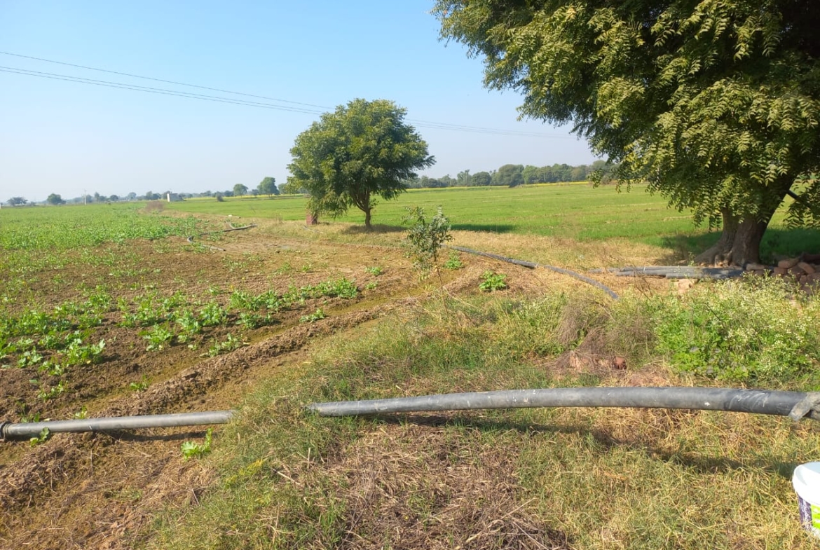 Cheap Agricultural Farmhouse Land for Sale Near Pataudi Gurgaon Haryana
