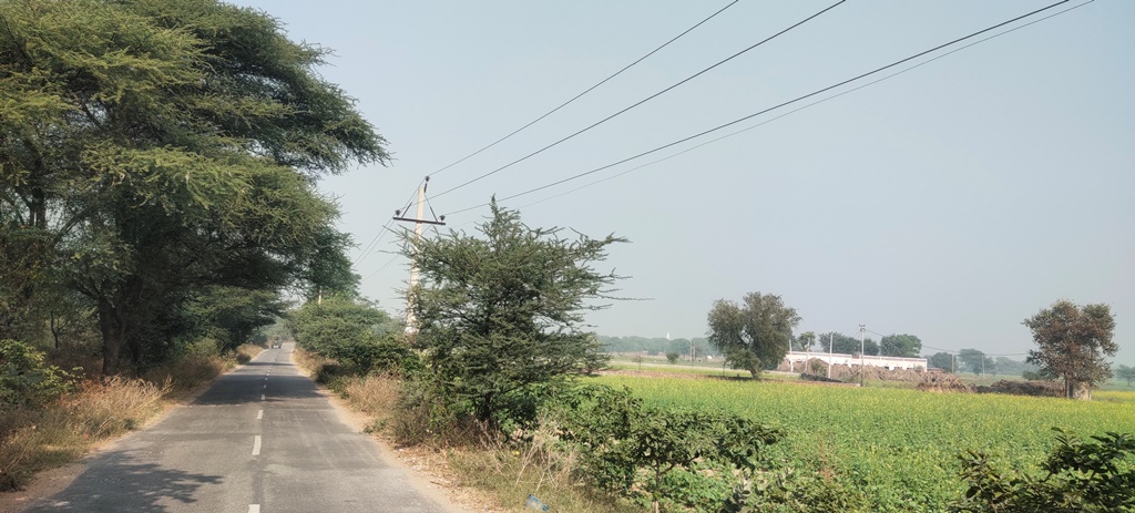 Cheap Agricultural Land For Sale Near Jatusana Rewari Haryana