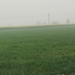 Factory Land for Sale Near Pataudi in Gurugram