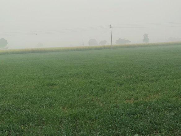 Factory Land for Sale Near Pataudi in Gurugram