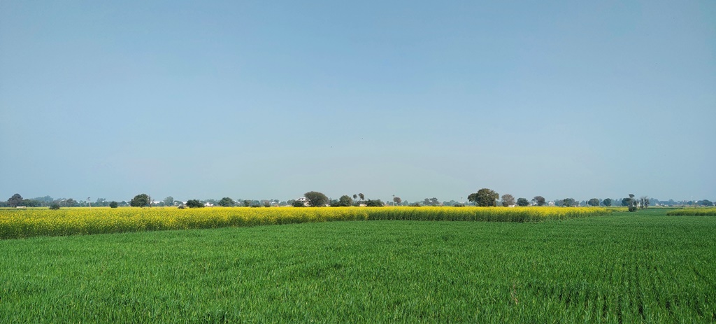 Farmhouse Land for Sale Near Pataudi Road Railway Station Gurgaon