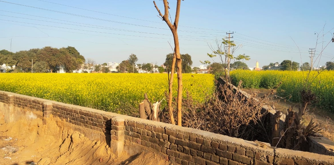 Agriculture Land For Rent or Lease In Gurgaon Near Delhi Jaipur Highway