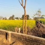 Agriculture Land For Rent or Lease In Gurgaon Near Delhi Jaipur Highway