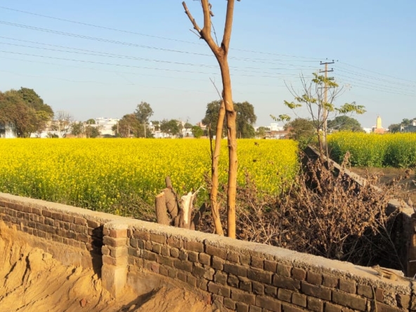 Agriculture Land For Rent or Lease In Gurgaon Near Delhi Jaipur Highway