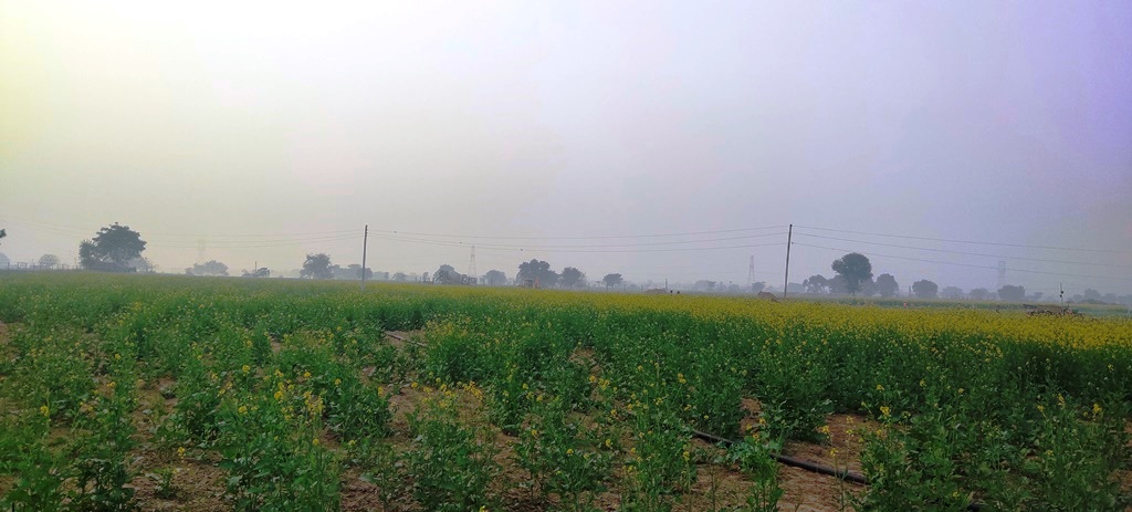 Factory Industrial Land For Sale Near Manesar Binola At Bilaspur Pataudi Road 3Acres