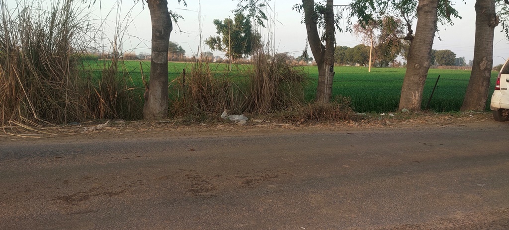 R Zone Land In Gurgaon For Sale At Pataudi Near NH 352W