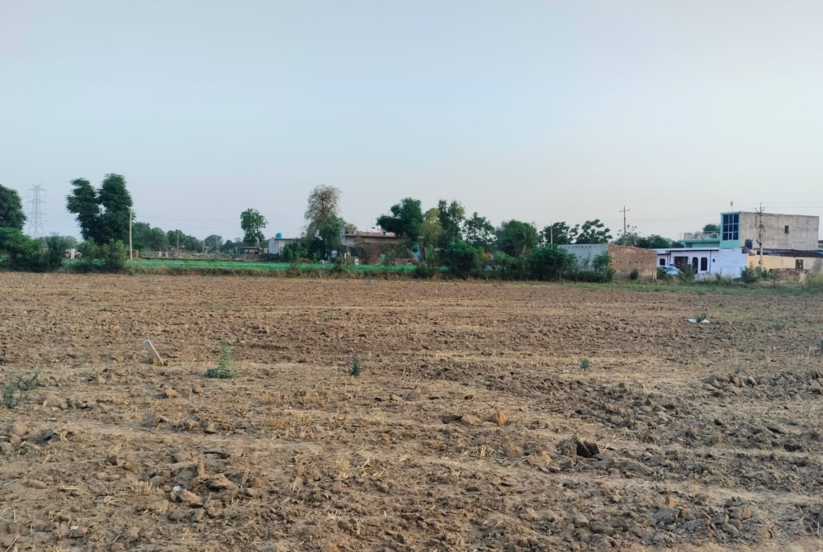 An Acre Land for Cold Storage or Industrial in Gurgaon