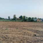 An Acre Land for Cold Storage or Industrial in Gurgaon