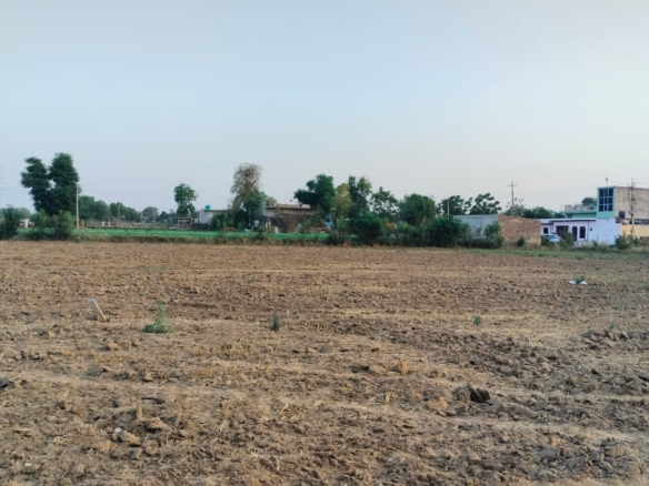 An Acre Land for Cold Storage or Industrial in Gurgaon
