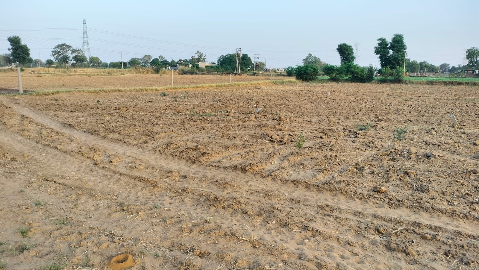 An Acre Land for Cold Storage or Industrial in Gurgaon