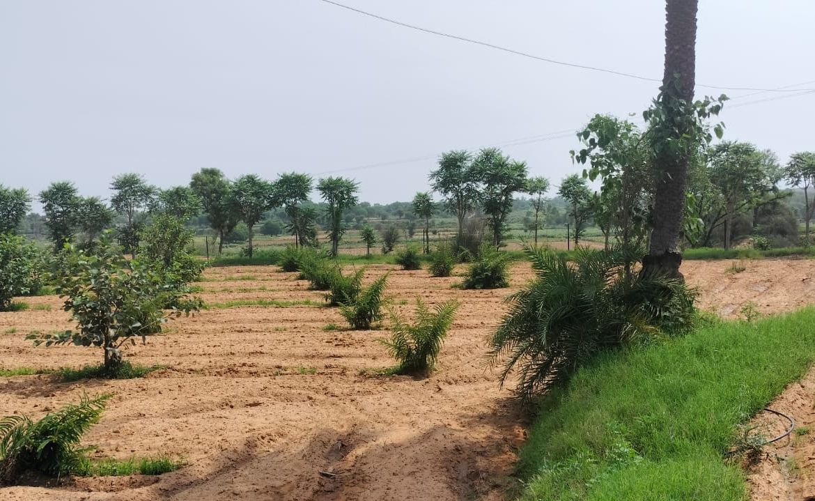 15 Acre Organic Certified Agriculture Farm For Sale only 6kms From NH-8 in Jaipur District of Rajasthan