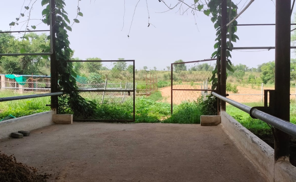 15 Acre Organic Certified Agriculture Farm For Sale only 6kms From NH-8 in Jaipur District of Rajasthan