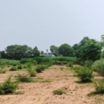 15 Acre Organic Certified Agriculture Farm For Sale only 6kms From NH-8 in Jaipur District of Rajasthan