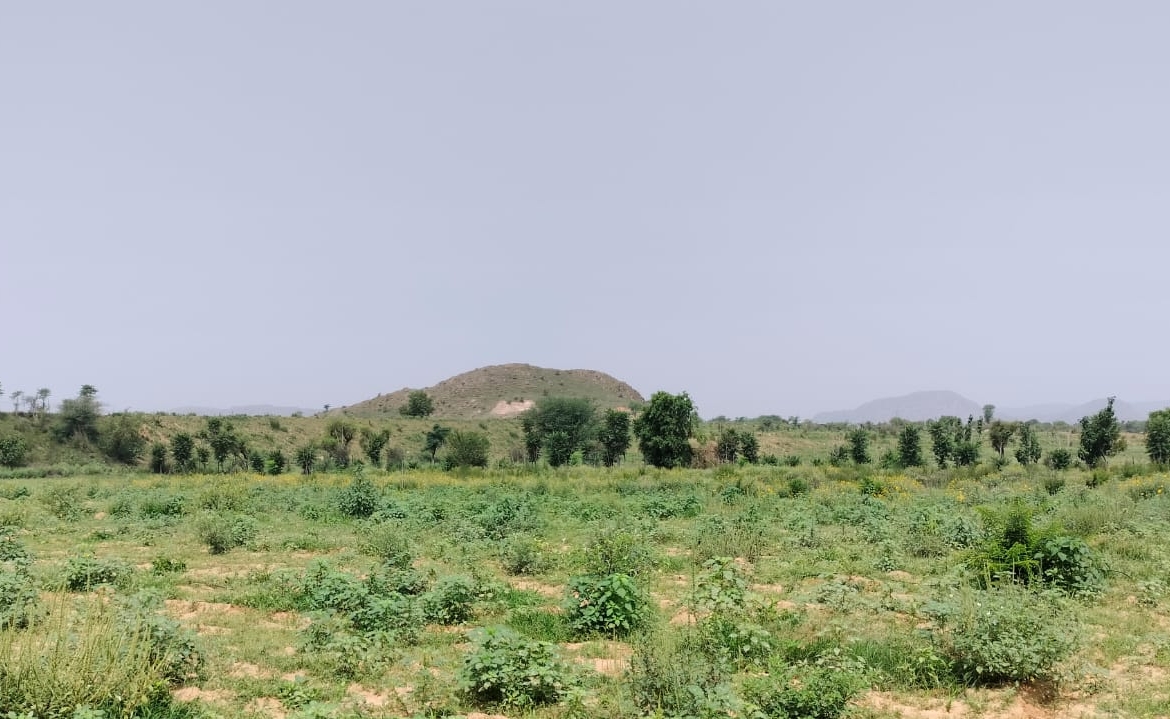 15 Acre Organic Certified Agriculture Farm For Sale only 6kms From NH-8 in Jaipur District of Rajasthan