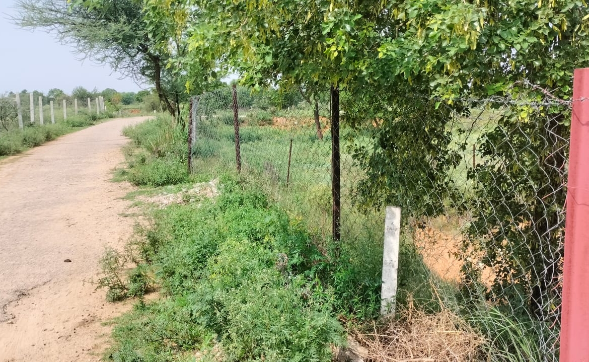 15 Acre Organic Certified Agriculture Farm For Sale only 6kms From NH-8 in Jaipur District of Rajasthan