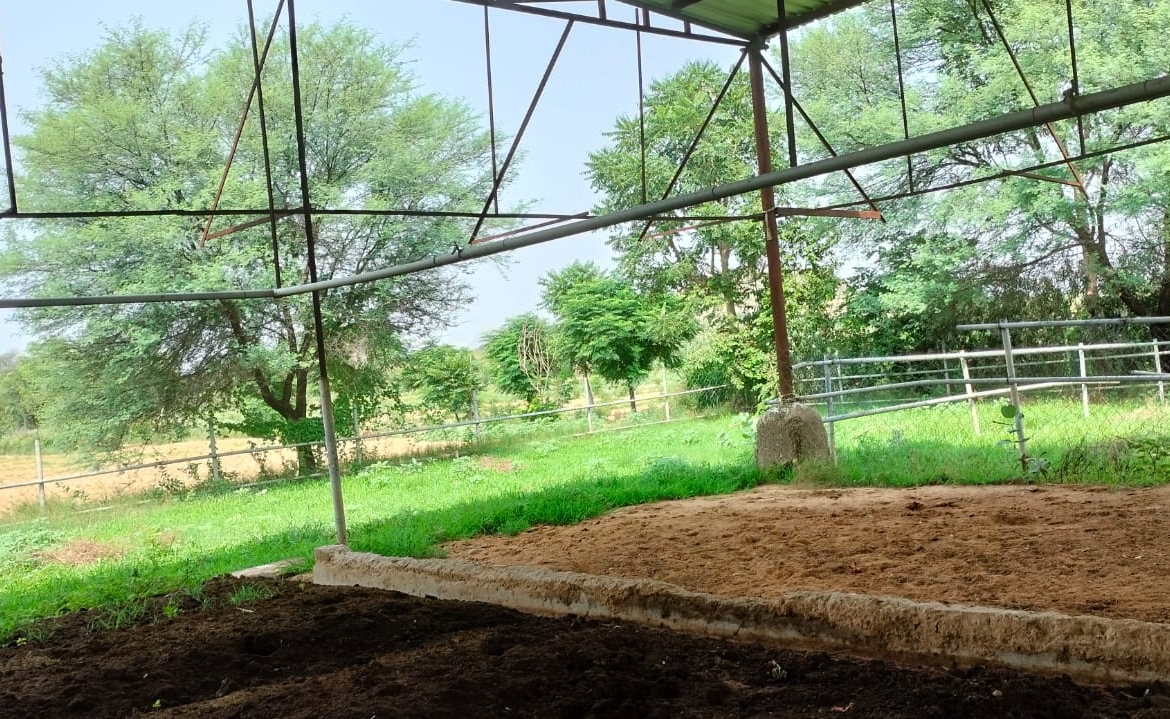 15 Acre Organic Certified Agriculture Farm For Sale only 6kms From NH-8 in Jaipur District of Rajasthan