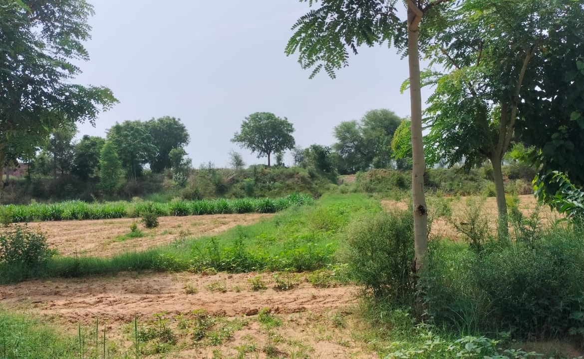 15 Acre Organic Certified Agriculture Farm For Sale only 6kms From NH-8 in Jaipur District of Rajasthan