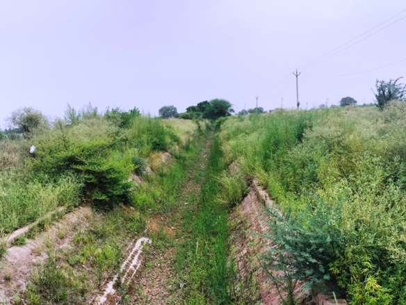 Canal Touch Agriculture Land For Sale Near Pataudi Gurgaon