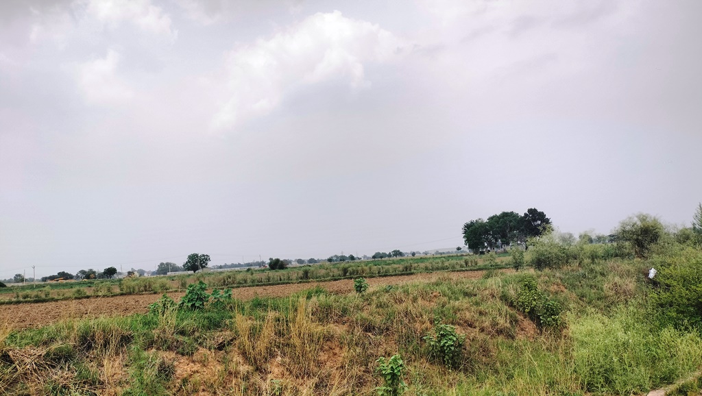 Canal Touch Agriculture Land For Sale Near Pataudi Gurgaon