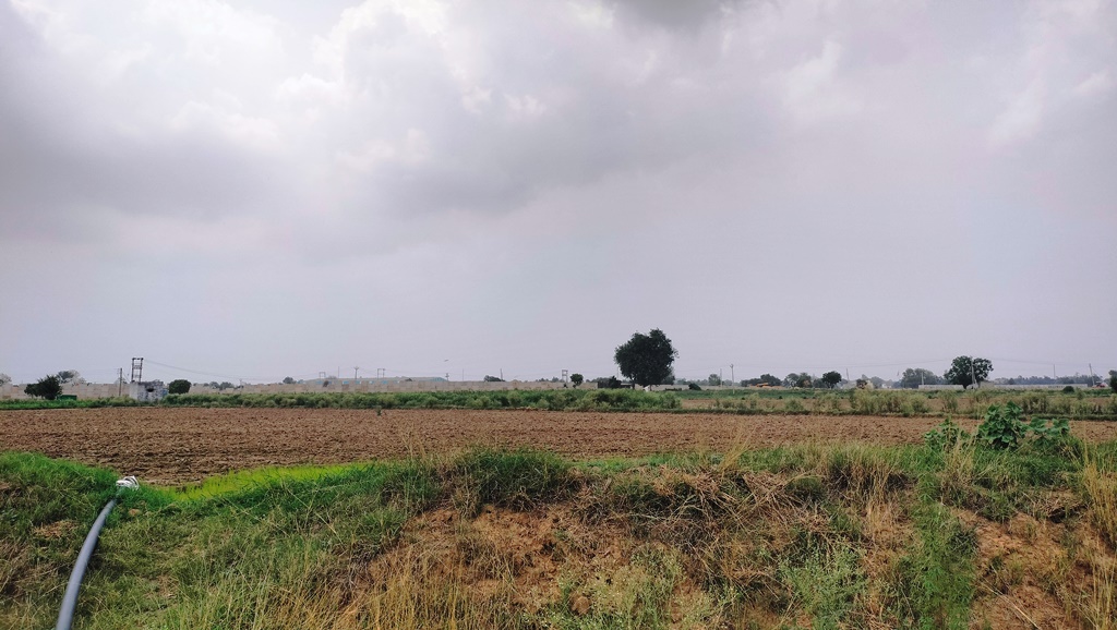 Canal Touch Agriculture Land For Sale Near Pataudi Gurgaon