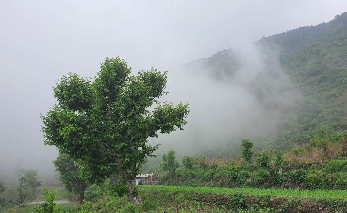 Agriculture Land with Cottage For Sale Near Dehradun