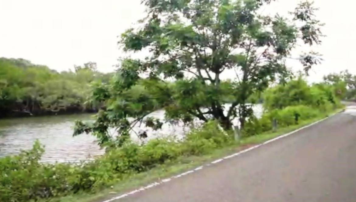 River Facing Property For Sale In Goa close to famous beaches of Patnem , Tolpona & Palolem