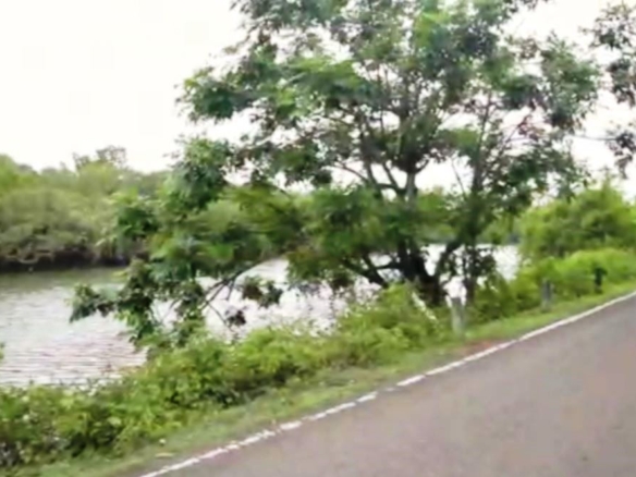 River Facing Property For Sale In Goa close to famous beaches of Patnem , Tolpona & Palolem