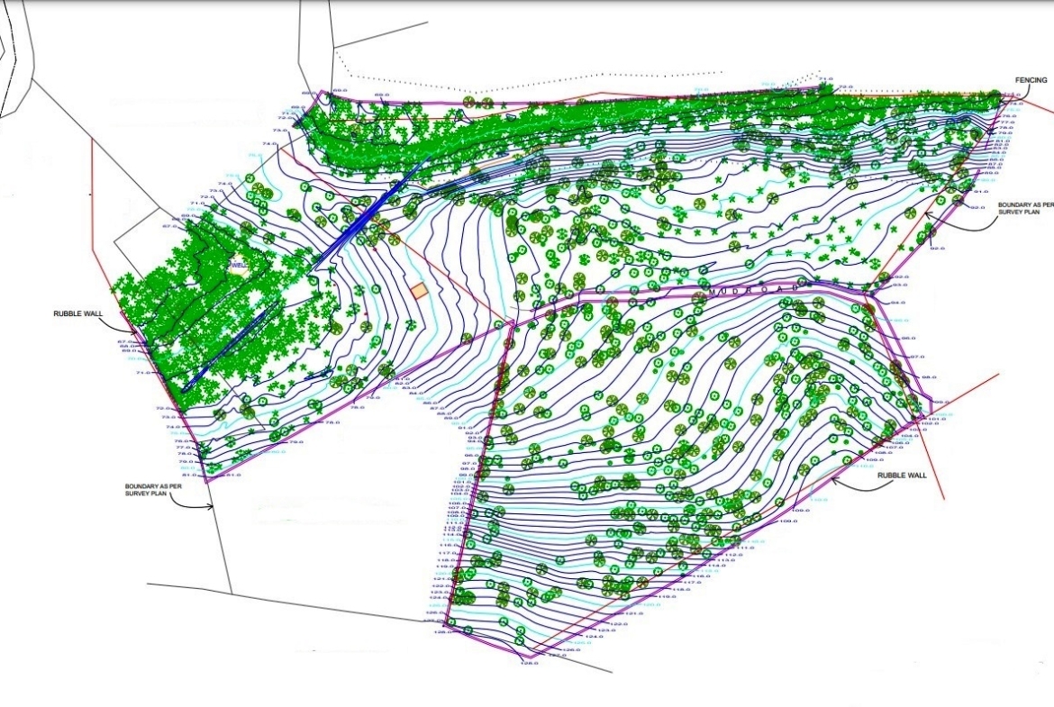 Orchard Land Parcel In Goa For Sale