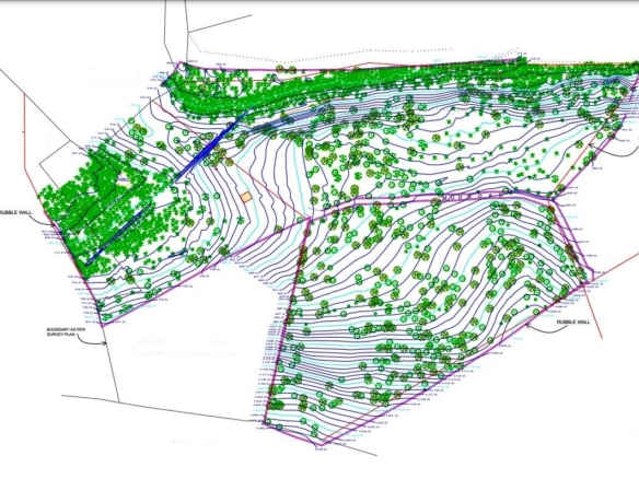 Orchard Land Parcel In Goa For Sale