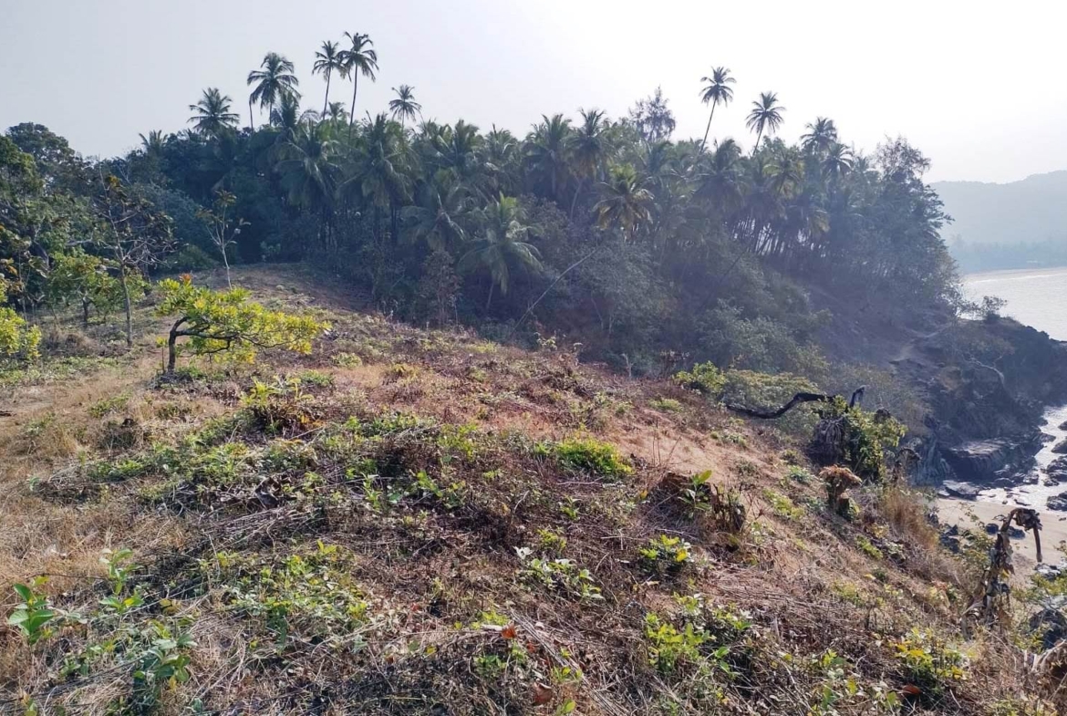 Sea Facing Land bank For Sale In Goa Beach Touch Property Prime Location For Hotel Resort or Bungalow Farmhouse project