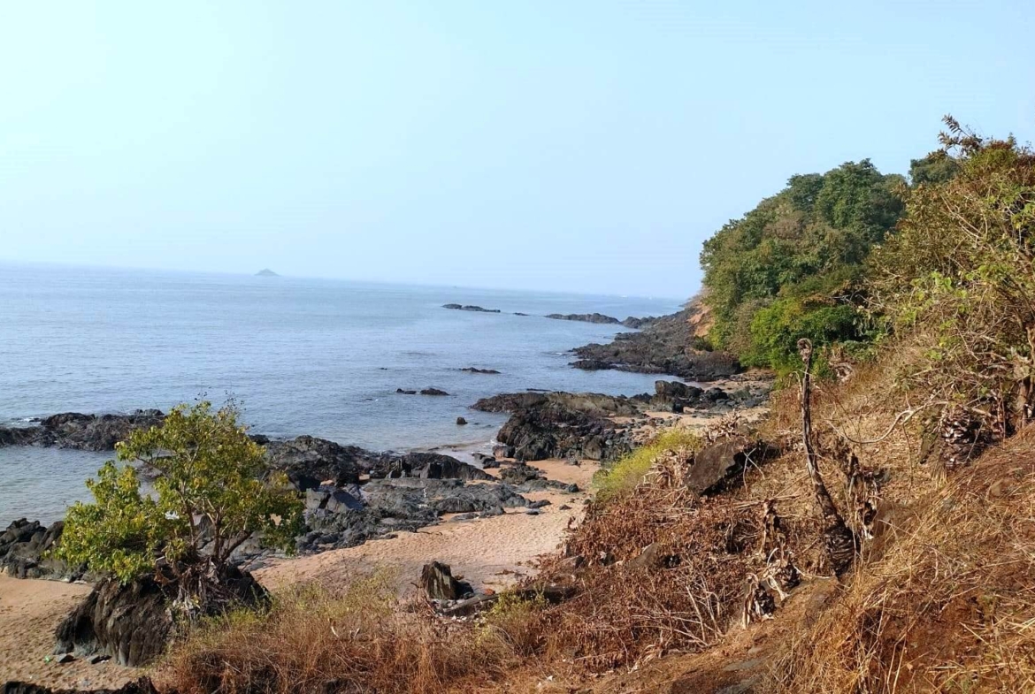 Sea Facing Land bank For Sale In Goa Beach Touch Property Prime Location For Hotel Resort or Bungalow Farmhouse project