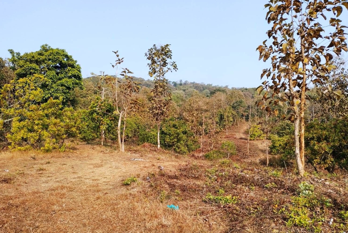 Sea Facing Land bank For Sale In Goa Beach Touch Property Prime Location For Hotel Resort or Bungalow Farmhouse project