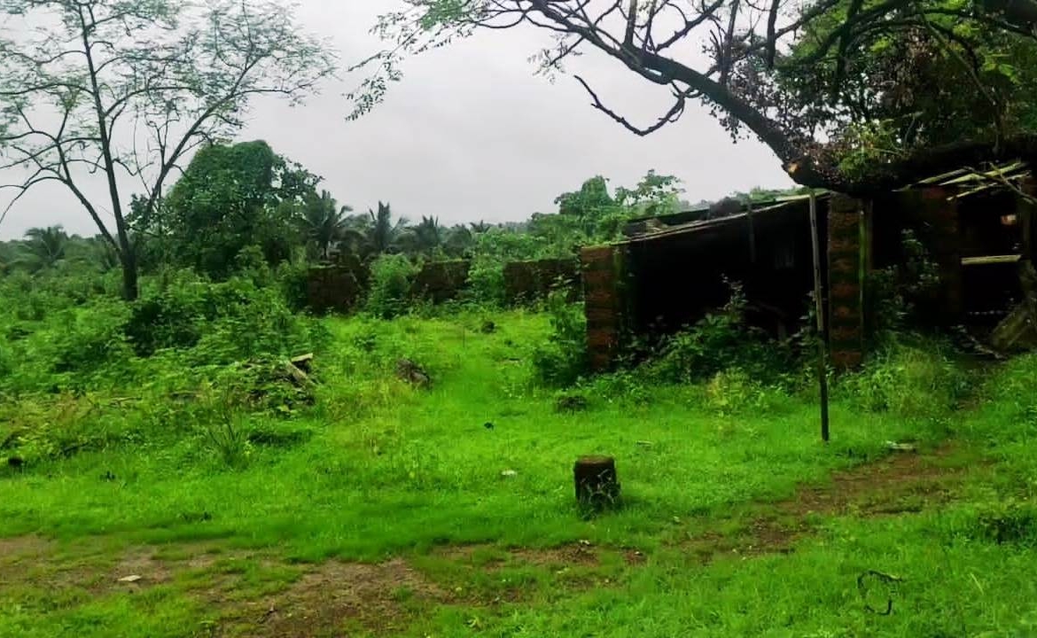 Agriculture Farm Land In Goa For Sale