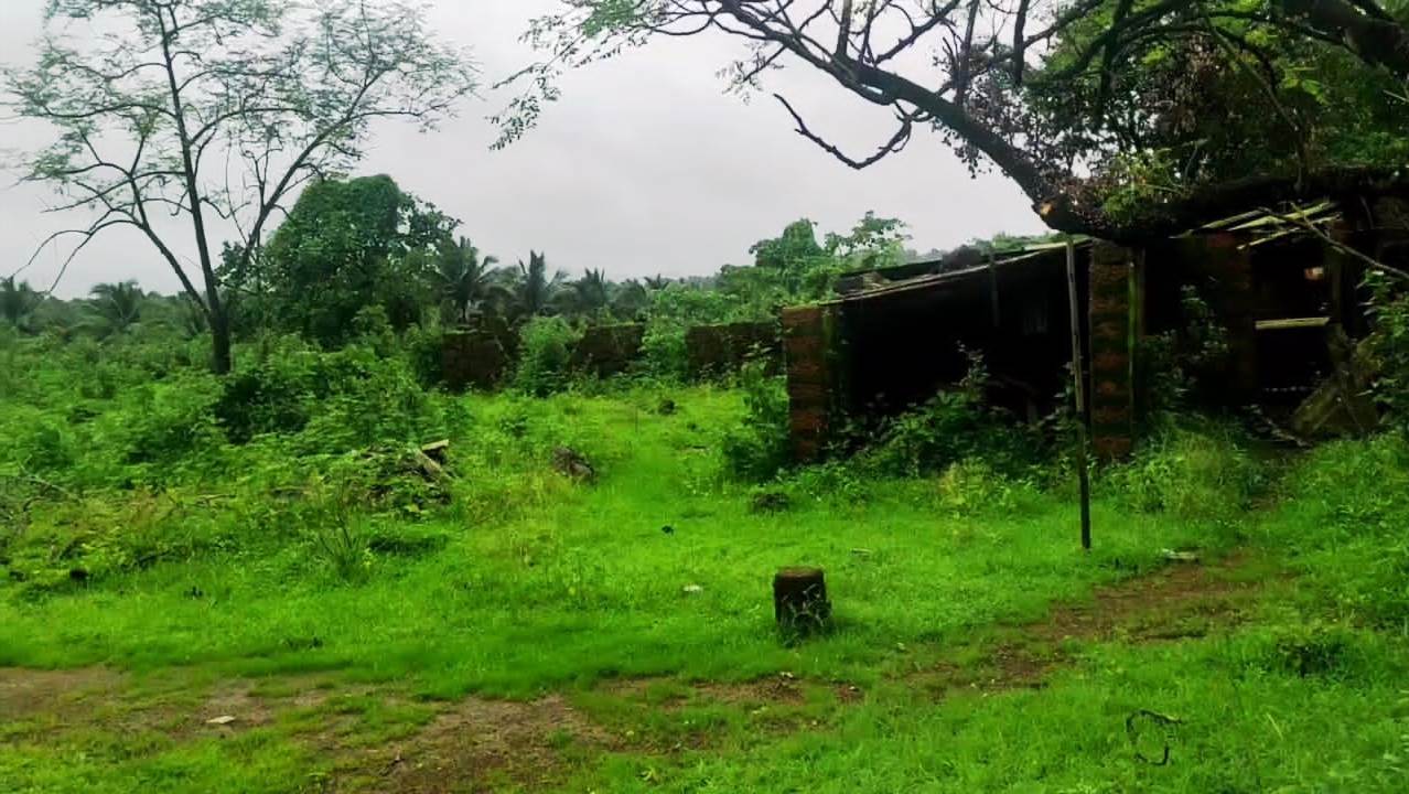 Agriculture Farm Land In Goa For Sale