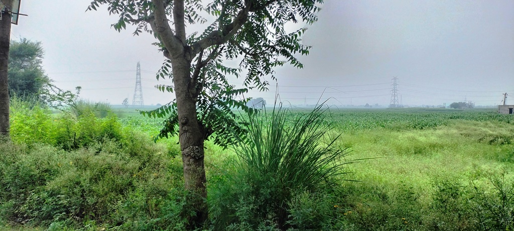 Farm Properties Agriculture Land For Sale In Kharkhoda for Industrial Use and in Rzone