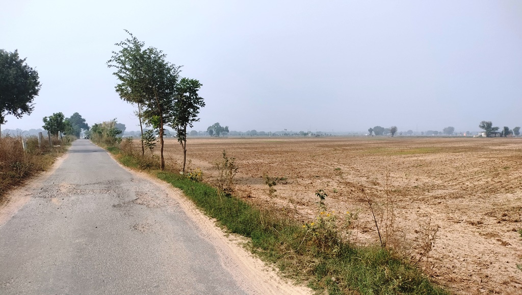 Agriculture Farm Land For Sale Dharuhera Rewari Haryana