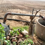 Agriculture Farm Land For Sale Dharuhera Rewari Haryana