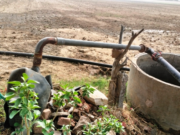 Agriculture Farm Land For Sale Dharuhera Rewari Haryana