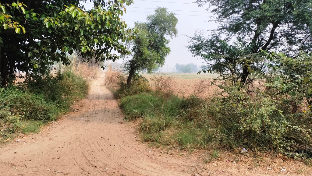 Agriculture Land For Sale Bawal Rewari Haryana Industrial CLU Possible