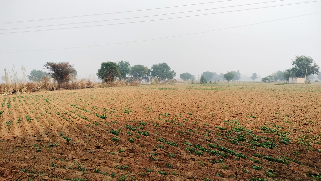 Agriculture Land For Sale Bawal Rewari Haryana Industrial CLU Possible