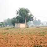 Agriculture Land For Sale Bawal Rewari Haryana Industrial CLU Possible