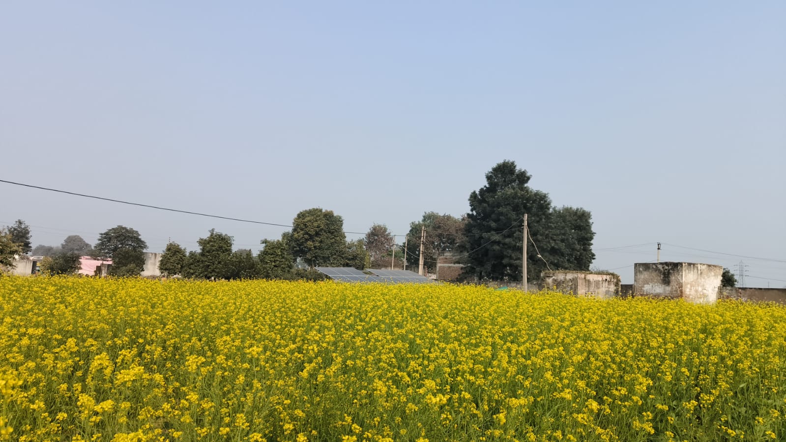 Agriculture Farm For Sale Tehsil Pataudi Distt Gurgaon Near Delhi Jaipur Highway