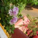 Small Hotel For Sale In South Goa with Land at Benaulim near Taj Exotica