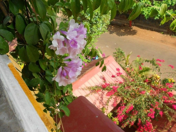 Small Hotel For Sale In South Goa with Land at Benaulim near Taj Exotica