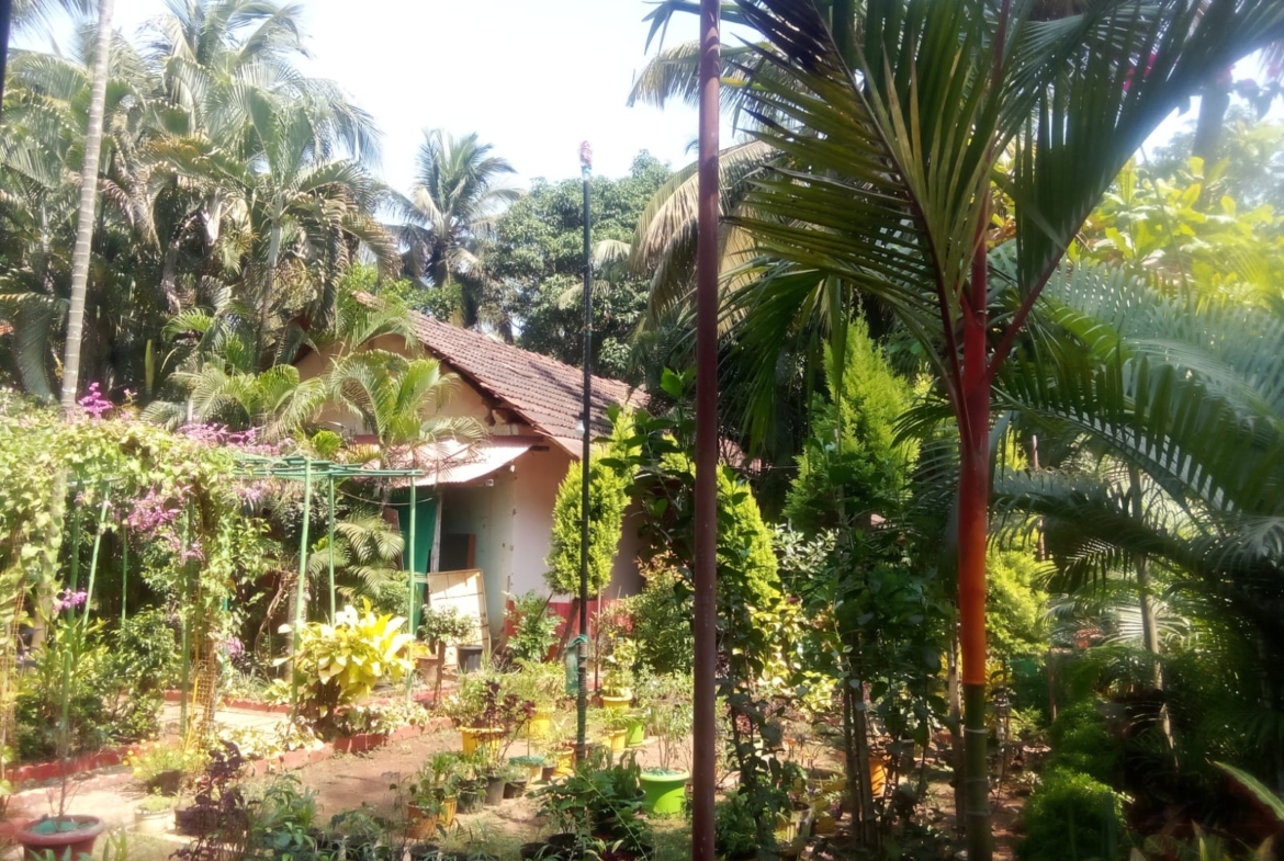 Small Hotel For Sale In South Goa with Land at Benaulim near Taj Exotica