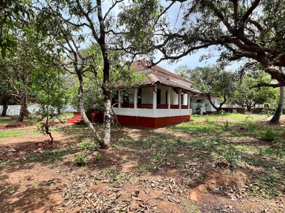4 bhk Independent House for sale in Goa Buy Sell Farmhouse Homes In Goa