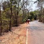 Land For Farmhouse In Goa For Sale Near Carambolim Lake Karmali Corlim Goa