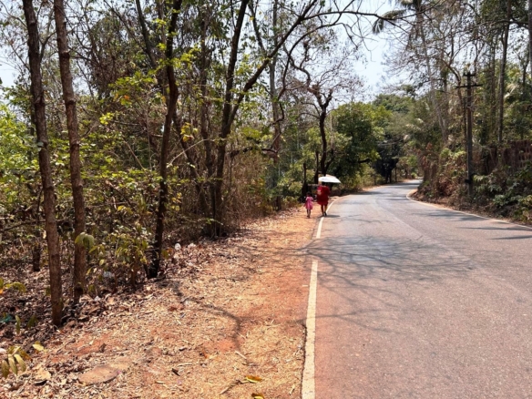 Land For Farmhouse In Goa For Sale Near Carambolim Lake Karmali Corlim Goa