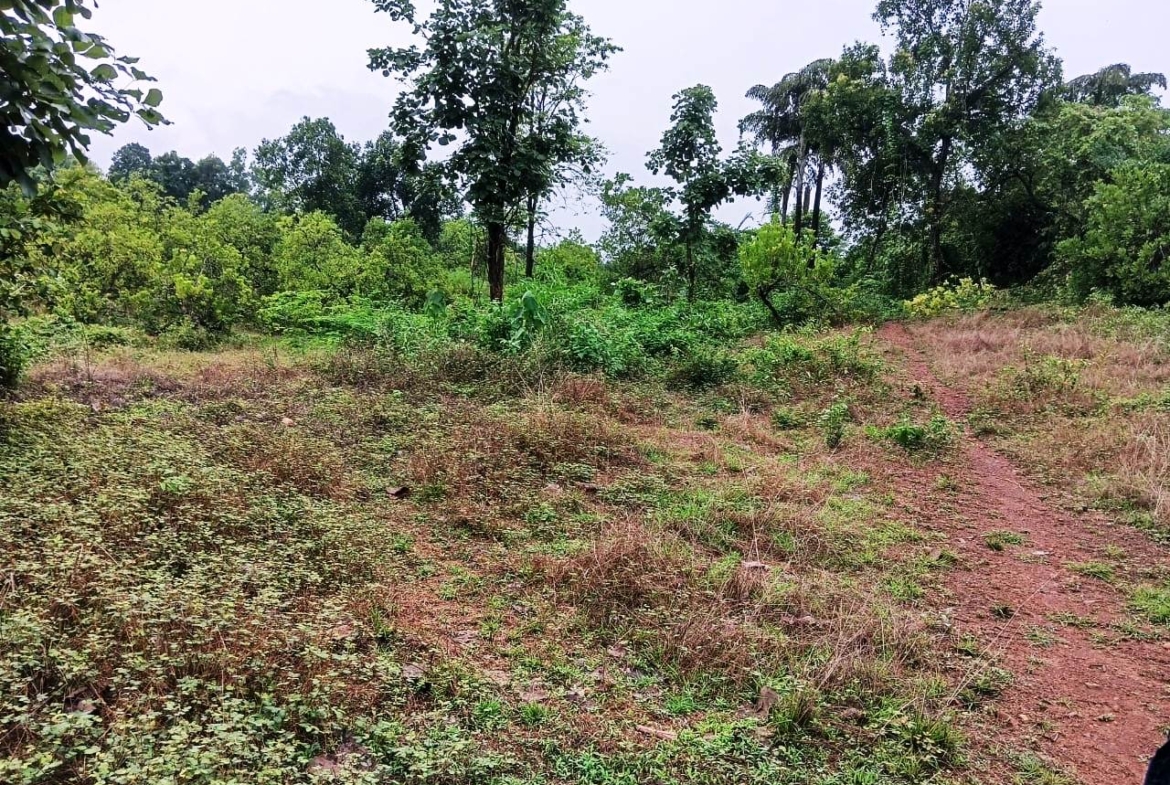 Land For Farmhouse In Goa For Sale Near Carambolim Lake Karmali Corlim Goa